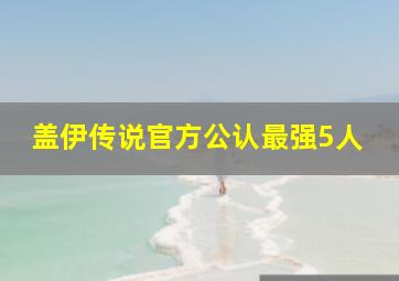 盖伊传说官方公认最强5人