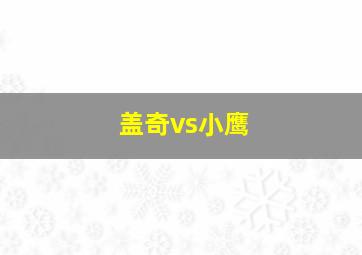 盖奇vs小鹰