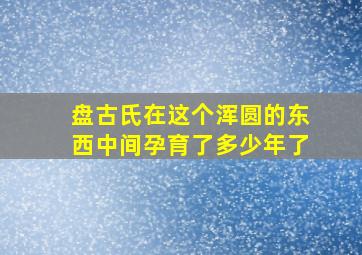 盘古氏在这个浑圆的东西中间孕育了多少年了