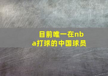 目前唯一在nba打球的中国球员