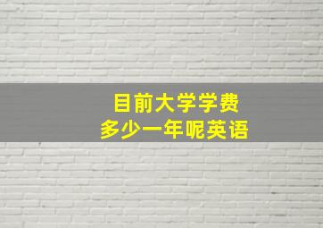 目前大学学费多少一年呢英语