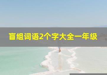 盲组词语2个字大全一年级