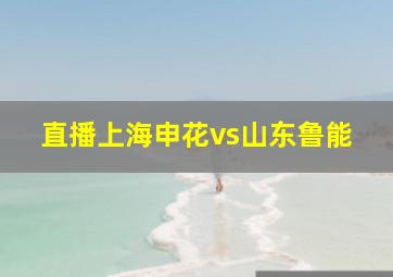 直播上海申花vs山东鲁能