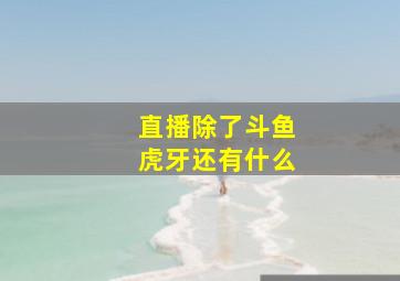 直播除了斗鱼虎牙还有什么