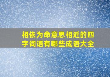 相依为命意思相近的四字词语有哪些成语大全