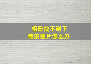 相册找不到下载的图片怎么办