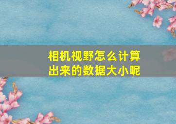 相机视野怎么计算出来的数据大小呢