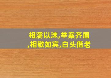 相濡以沫,举案齐眉,相敬如宾,白头偕老