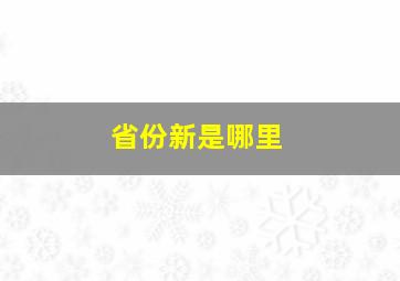 省份新是哪里