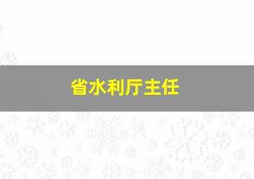 省水利厅主任