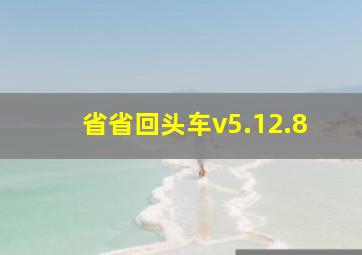 省省回头车v5.12.8