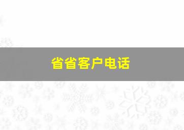 省省客户电话