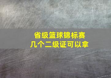 省级篮球锦标赛几个二级证可以拿