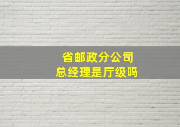 省邮政分公司总经理是厅级吗