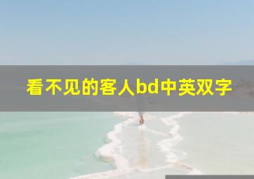 看不见的客人bd中英双字