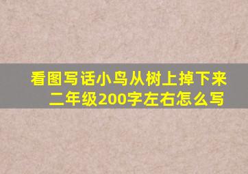 看图写话小鸟从树上掉下来二年级200字左右怎么写