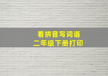 看拼音写词语二年级下册打印