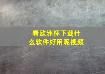 看欧洲杯下载什么软件好用呢视频