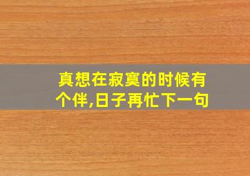 真想在寂寞的时候有个伴,日子再忙下一句