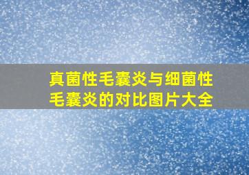 真菌性毛囊炎与细菌性毛囊炎的对比图片大全