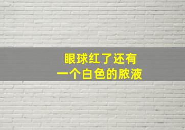 眼球红了还有一个白色的脓液