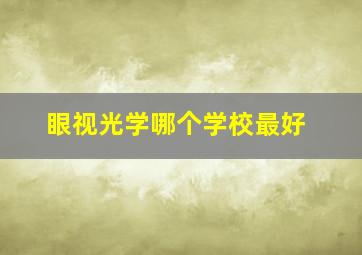 眼视光学哪个学校最好