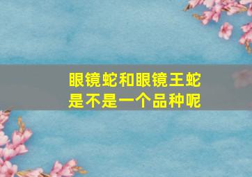 眼镜蛇和眼镜王蛇是不是一个品种呢