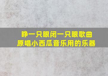 睁一只眼闭一只眼歌曲原唱小西瓜音乐用的乐器