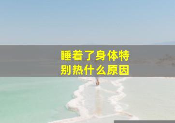 睡着了身体特别热什么原因