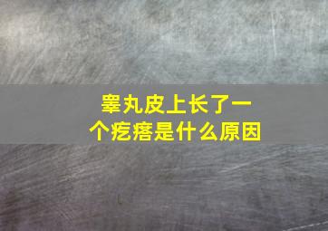 睾丸皮上长了一个疙瘩是什么原因