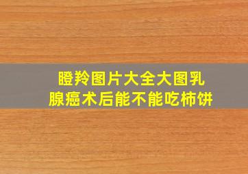 瞪羚图片大全大图乳腺癌术后能不能吃柿饼