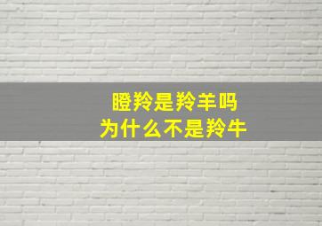 瞪羚是羚羊吗为什么不是羚牛