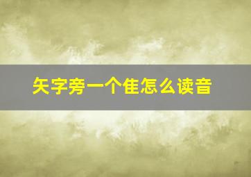 矢字旁一个隹怎么读音