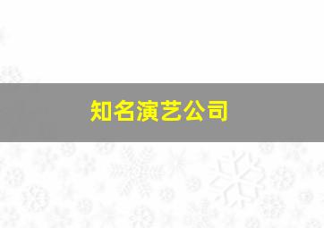 知名演艺公司