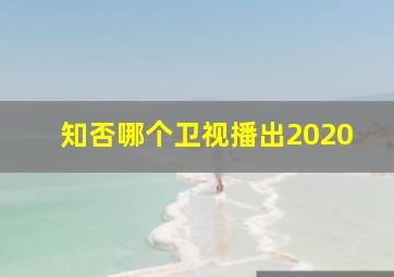 知否哪个卫视播出2020