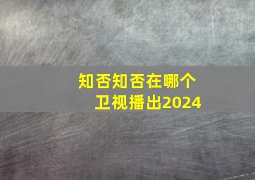 知否知否在哪个卫视播出2024