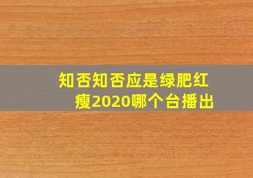 知否知否应是绿肥红瘦2020哪个台播出