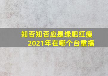 知否知否应是绿肥红瘦2021年在哪个台重播