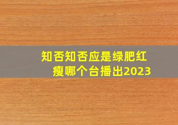 知否知否应是绿肥红瘦哪个台播出2023