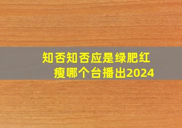 知否知否应是绿肥红瘦哪个台播出2024