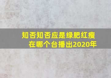 知否知否应是绿肥红瘦在哪个台播出2020年