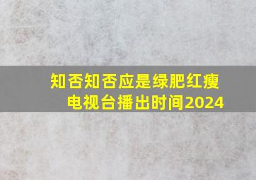 知否知否应是绿肥红瘦电视台播出时间2024