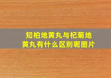 知柏地黄丸与杞菊地黄丸有什么区别呢图片