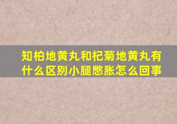 知柏地黄丸和杞菊地黄丸有什么区别小腿憋胀怎么回事