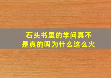 石头书里的学问真不是真的吗为什么这么火