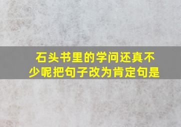 石头书里的学问还真不少呢把句子改为肯定句是