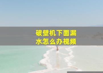 破壁机下面漏水怎么办视频