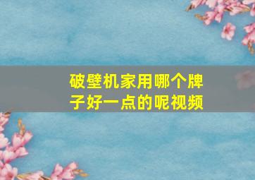 破壁机家用哪个牌子好一点的呢视频