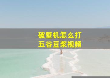 破壁机怎么打五谷豆浆视频