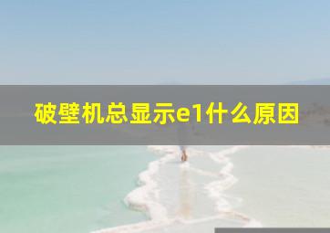 破壁机总显示e1什么原因